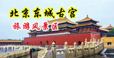 大鸡巴操美女一级片中国北京-东城古宫旅游风景区